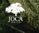 Joca Tree Care